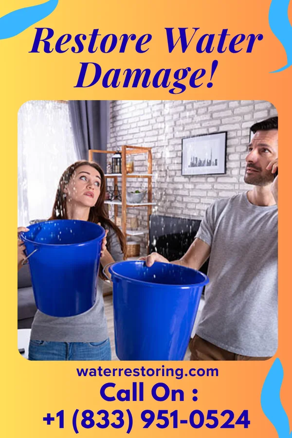 water restoration Pro Disaster Cleanup Network La Minita
