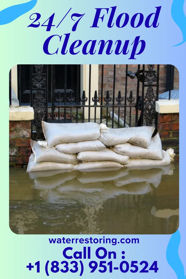 24/7 Flood Cleanup in La Minita, TX