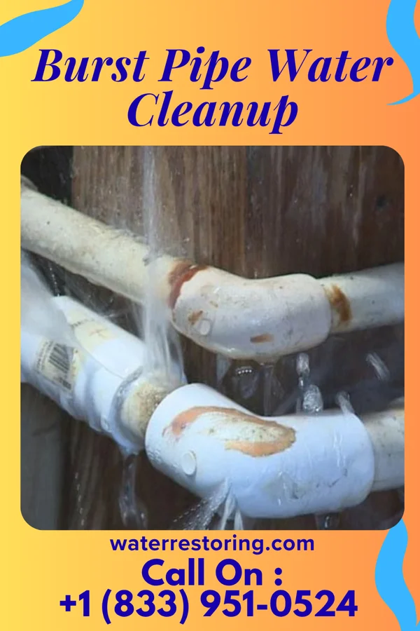 Burst Pipe Water Cleanup in La Minita, TX