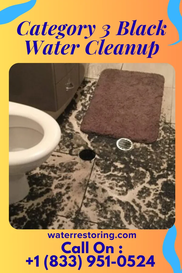 Category 3 Black Water Cleanup in La Minita, TX
