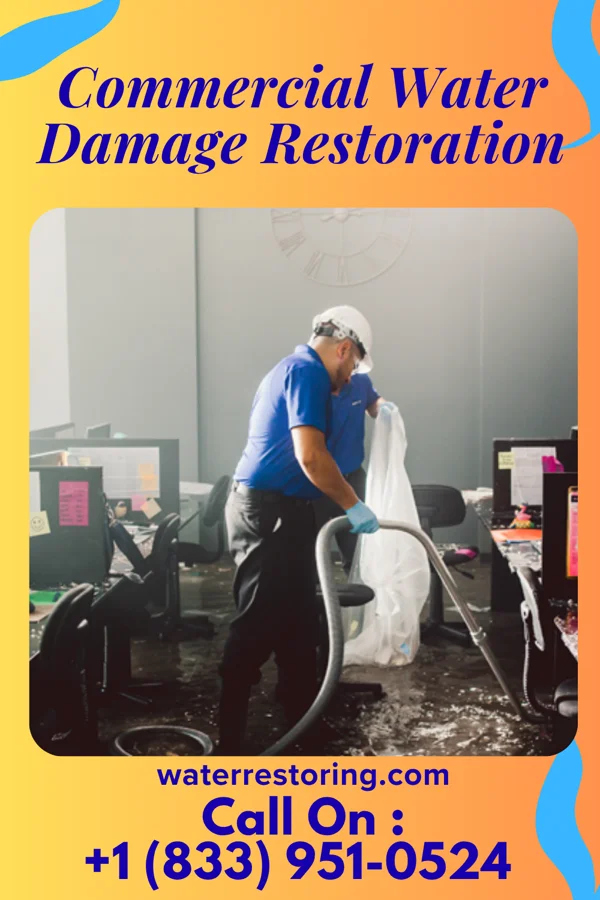 Commercial Water Damage Restoration in La Minita, TX
