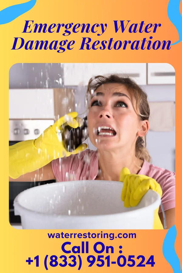 Emergency Water Damage Restoration in La Minita, TX