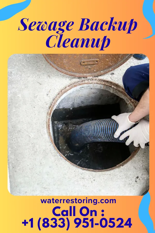 Sewage Backup Cleanup in La Minita, TX