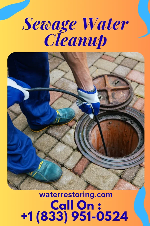Sewage Water Cleanup in La Minita, TX