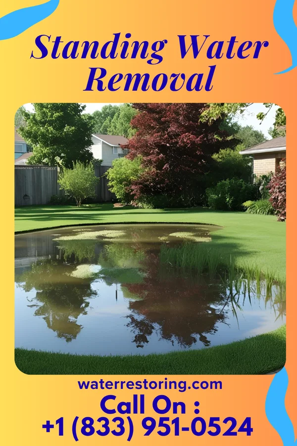 Standing Water Removal in La Minita, TX